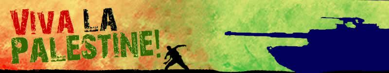 Ocupacion de Israel en Palestina.