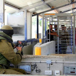 Palestina: Árboles y Checkpoints Palestina: Árboles y Checkpoints