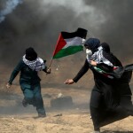 Palestina: un genocidio continuado (VIDEOCONFERENCIA) Palestina: un genocidio continuado (VIDEOCONFERENCIA)