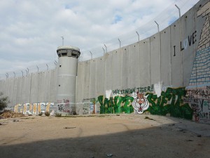 4488320130430062144883